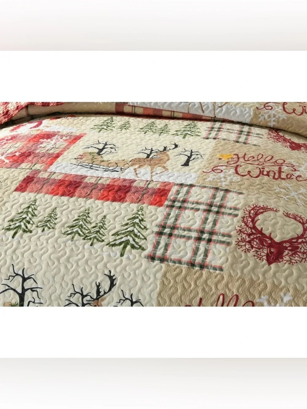 Rustic Red Plaid Winter Queen 3 piece Quilt Set